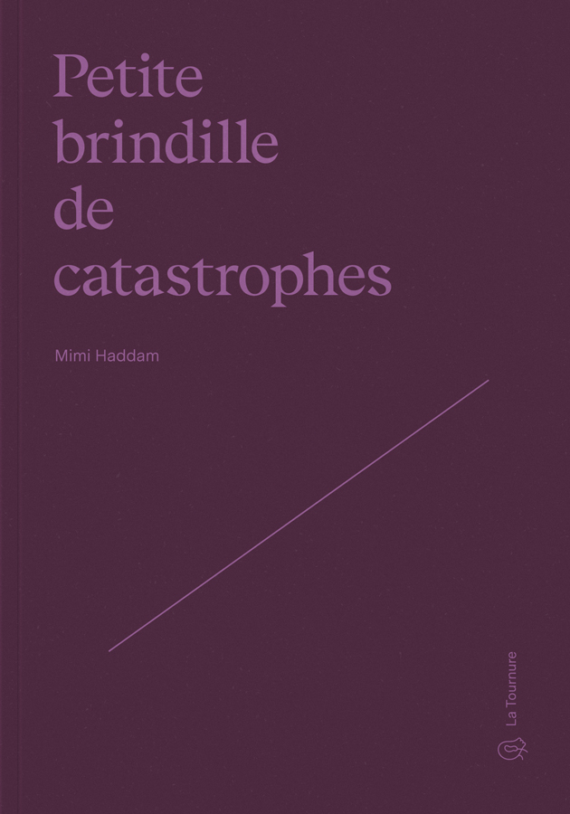 Couverture du livre Petite brindille de catastrophes de Mimi Haddam