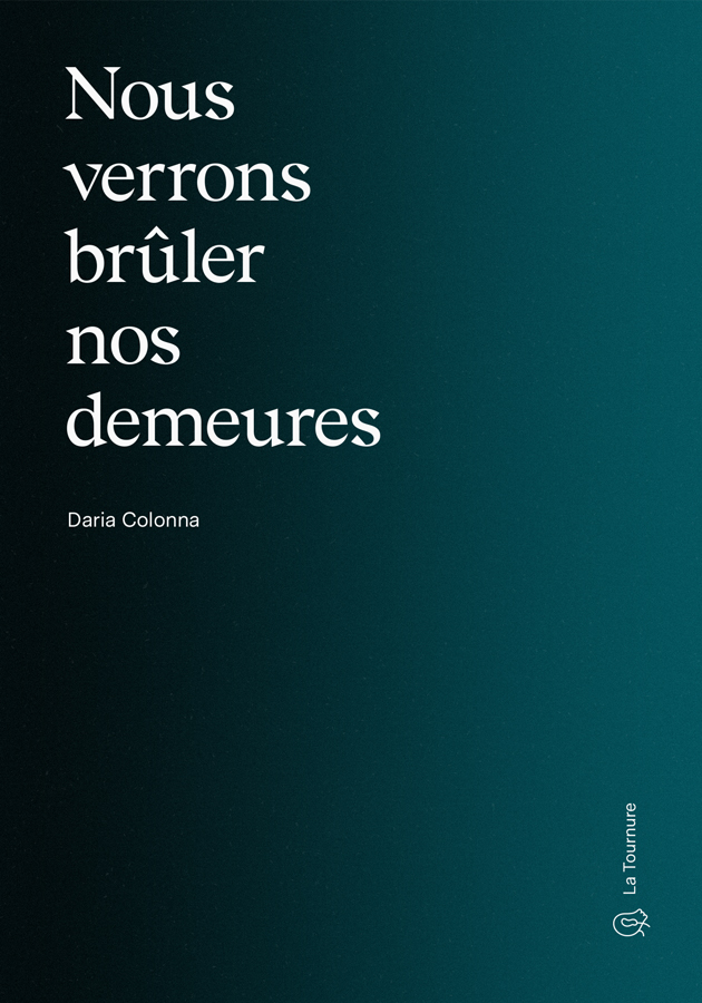 Couverture du livre Nous verrons brûler nos demeures de Daria Colonna