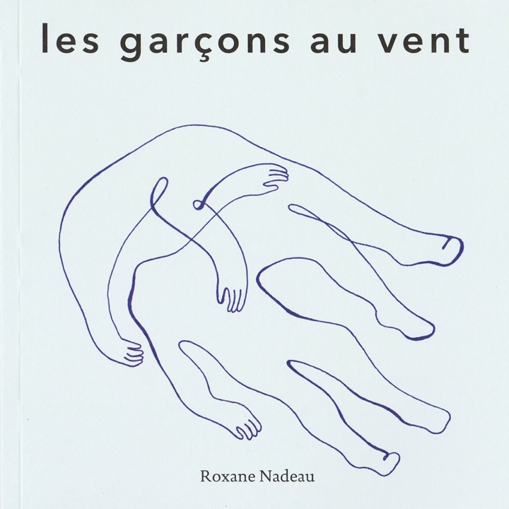 Couverture du livre Les garçons au vent de Roxanne Nadeau