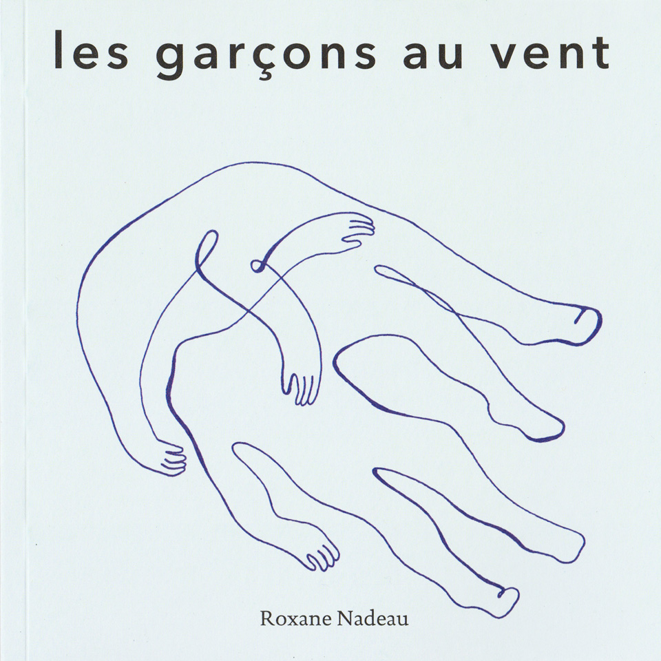 Couverture du livre Les garçons au vent de Roxane Nadeau